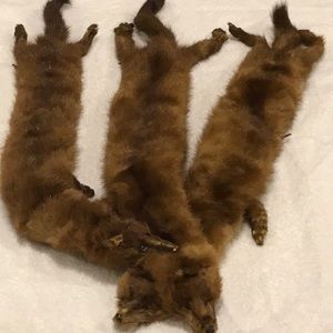 VINTAGE: 3 genuine mink pelts